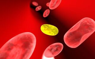 Желчные кислоты в крови — что делать и как лечить