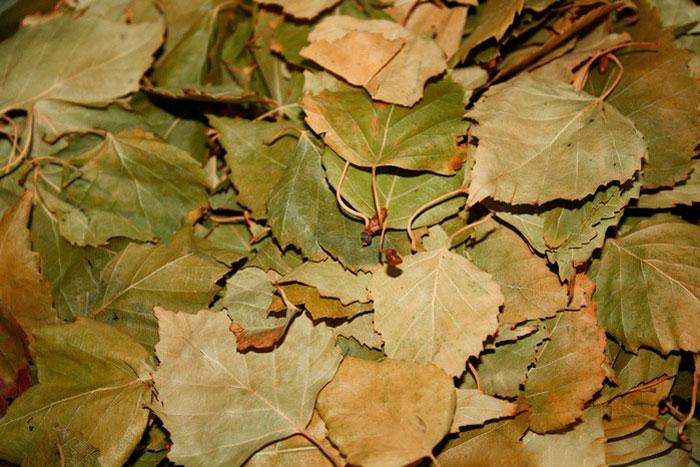 Березовые листья